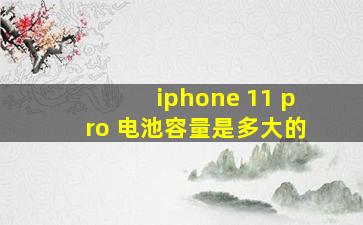 iphone 11 pro 电池容量是多大的